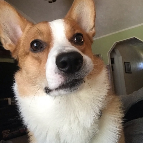 Meet Your Posher - Picture 4 of 7